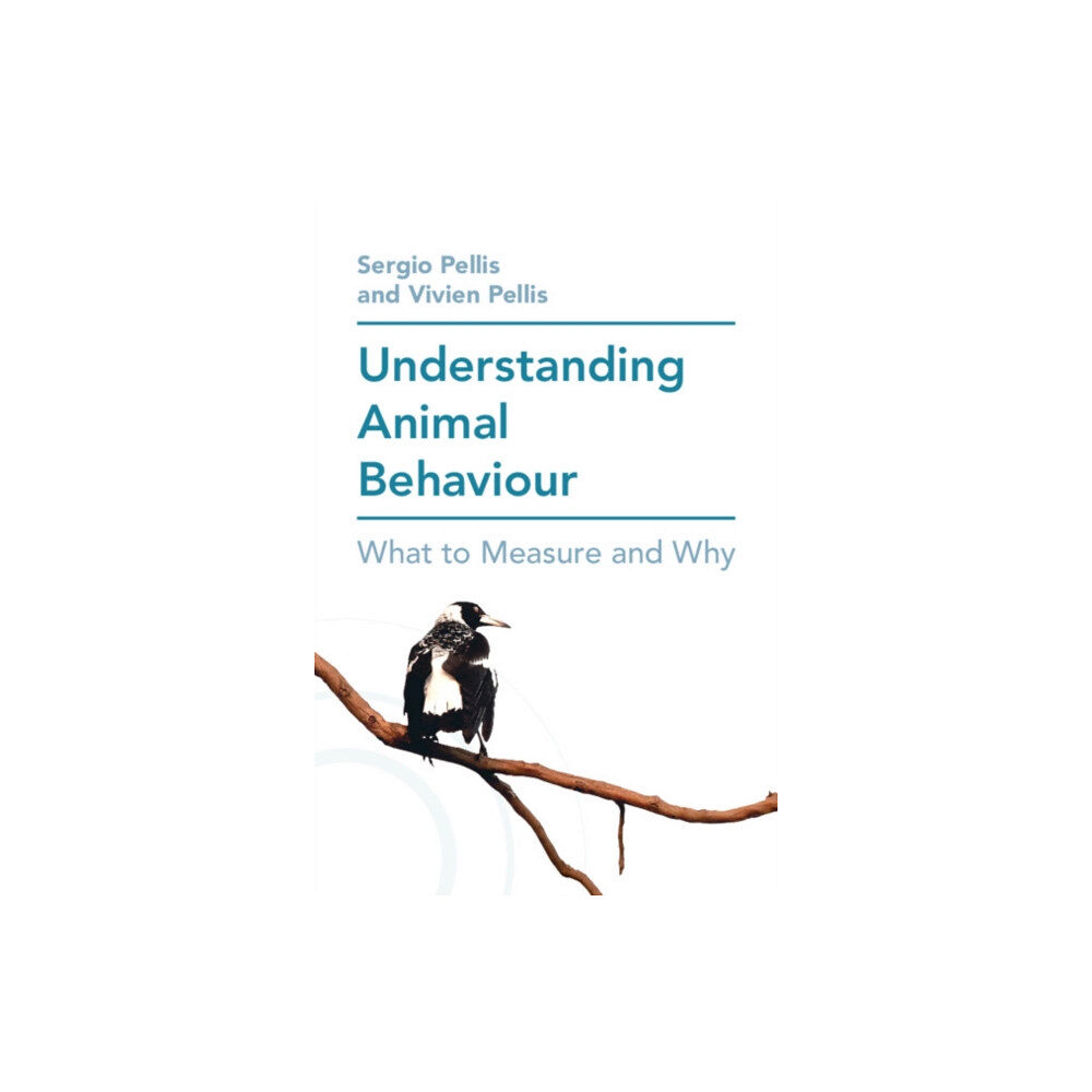 Cambridge University Press Understanding Animal Behaviour (häftad, eng)