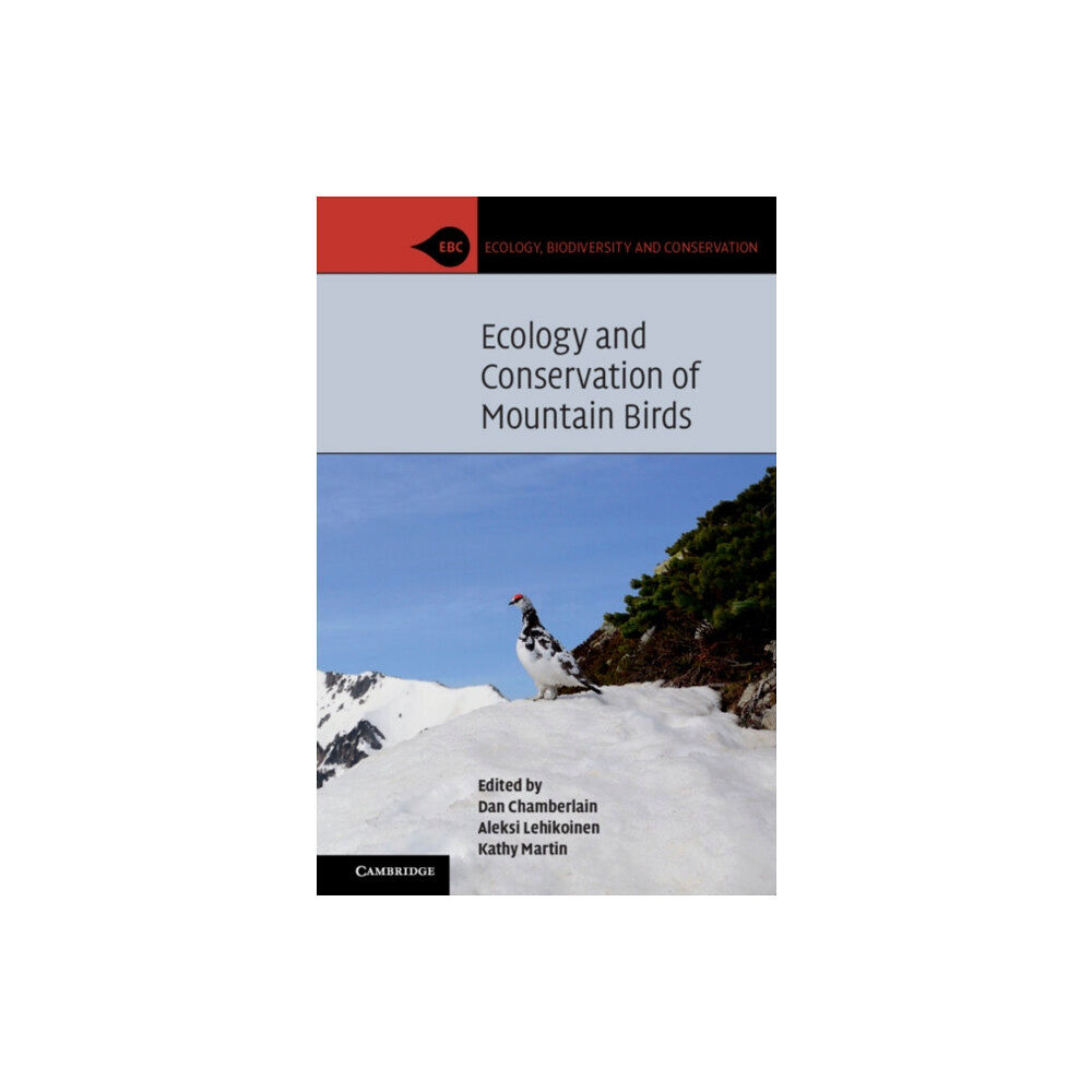 Cambridge University Press Ecology and Conservation of Mountain Birds (häftad, eng)