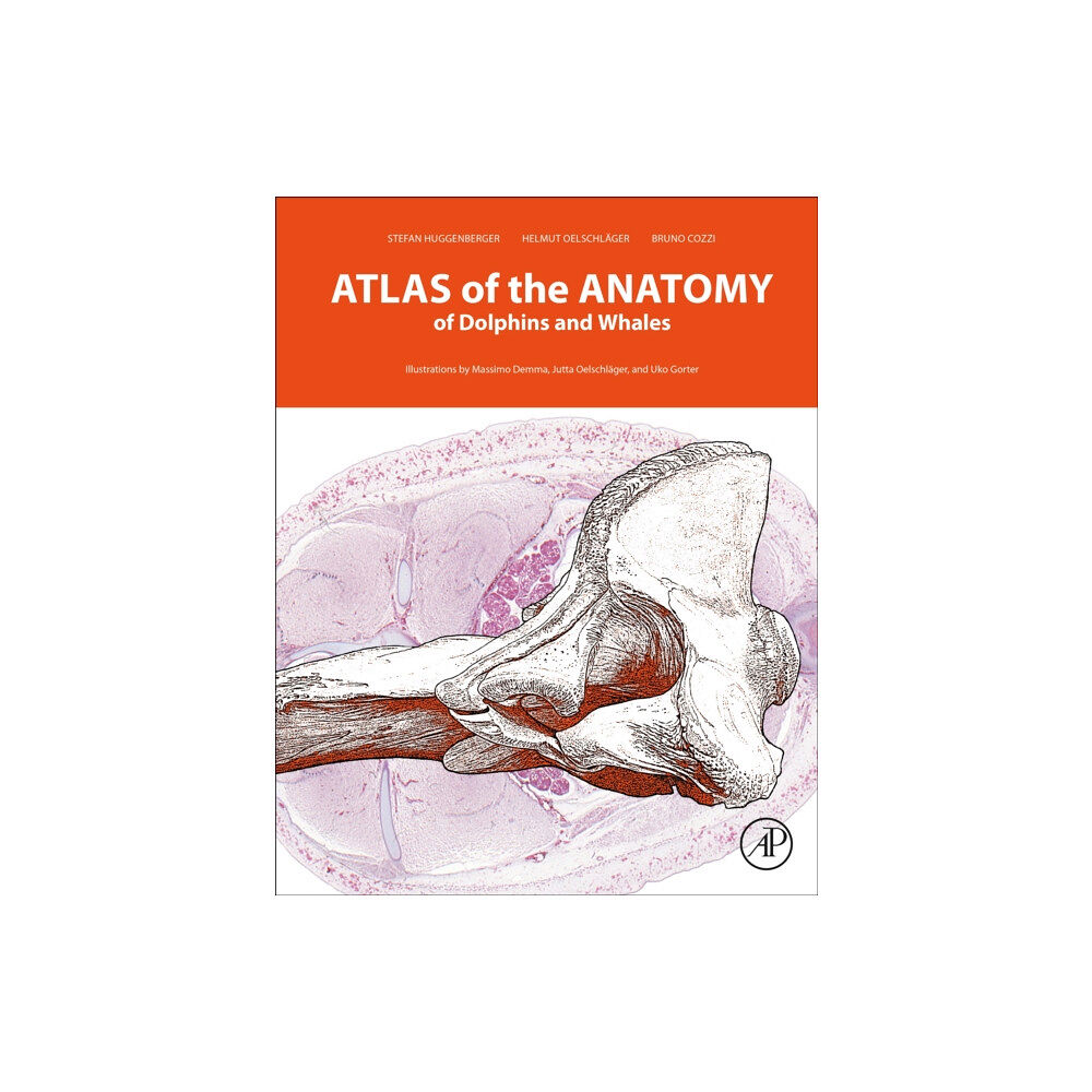 Elsevier Science Publishing Co Inc Atlas of the Anatomy of Dolphins and Whales (inbunden, eng)