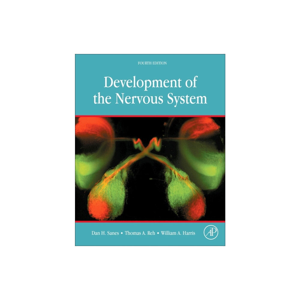 Elsevier Science Publishing Co Inc Development of the Nervous System (inbunden, eng)