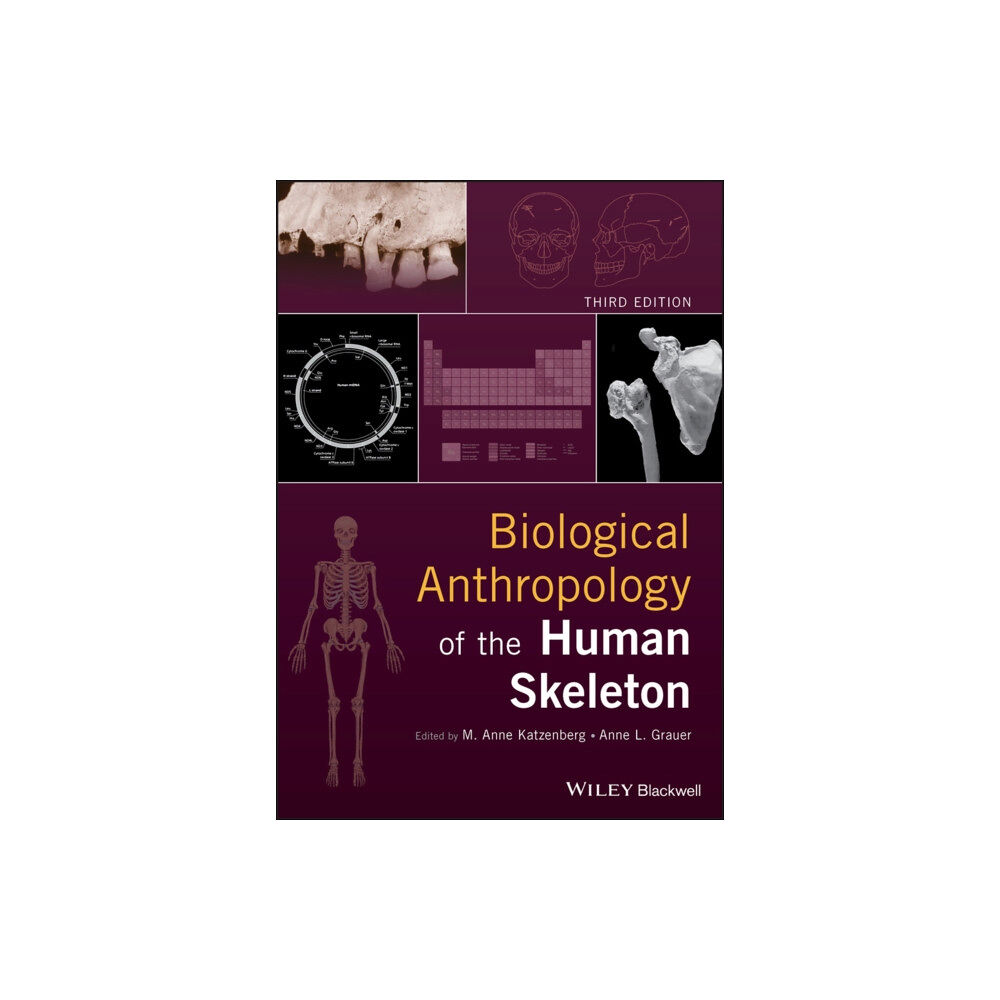 John Wiley And Sons Ltd Biological Anthropology of the Human Skeleton (inbunden, eng)