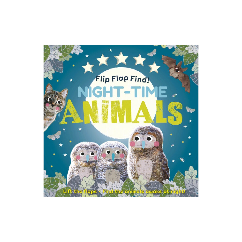 Dorling Kindersley Ltd Flip Flap Find! Night-time Animals (bok, board book, eng)