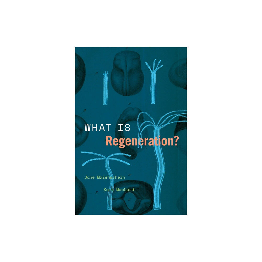 The university of chicago press What Is Regeneration? (häftad, eng)