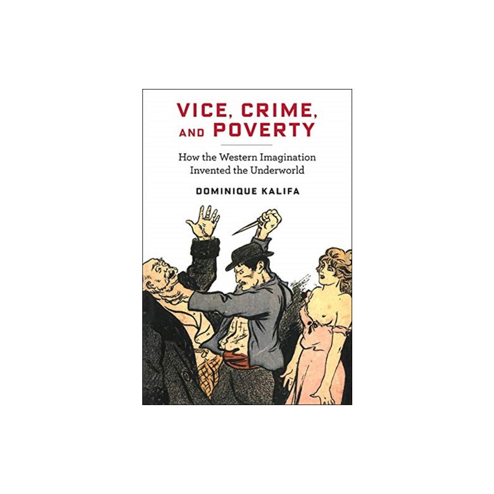 Columbia university press Vice, Crime, and Poverty (häftad, eng)