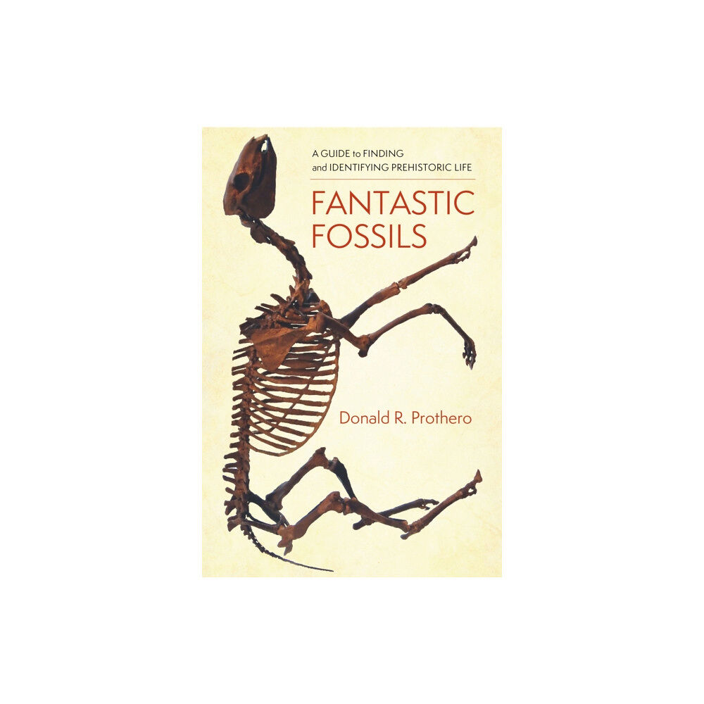 Columbia university press Fantastic Fossils (inbunden, eng)