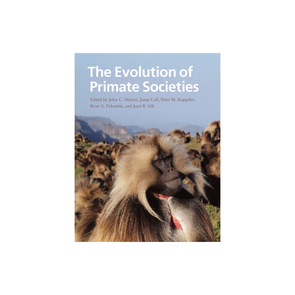 The university of chicago press The Evolution of Primate Societies (häftad, eng)