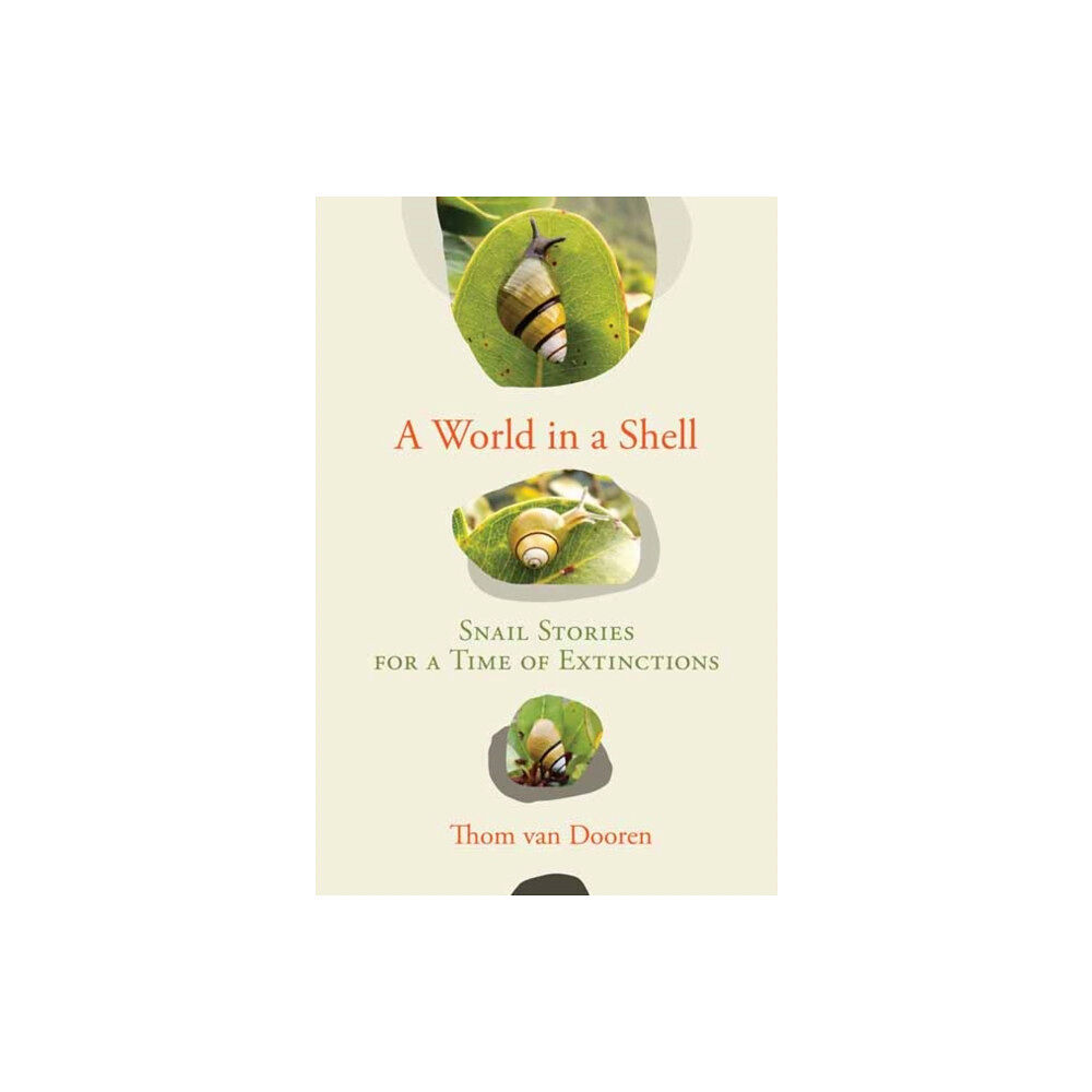 Mit press ltd A World in a Shell (inbunden, eng)