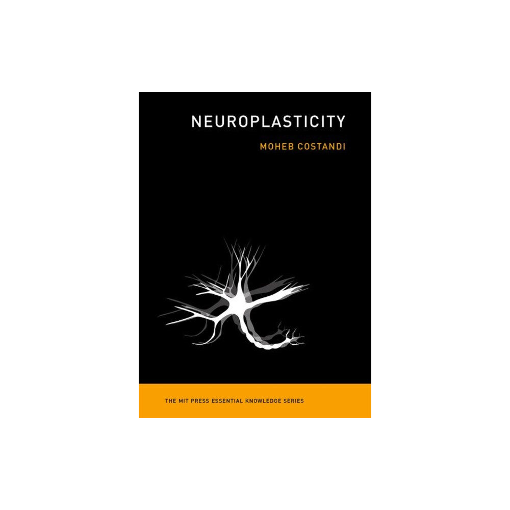 Mit press ltd Neuroplasticity (häftad, eng)