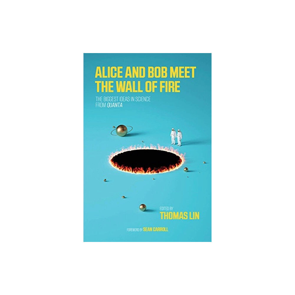 Mit press ltd Alice and Bob Meet the Wall of Fire (häftad, eng)