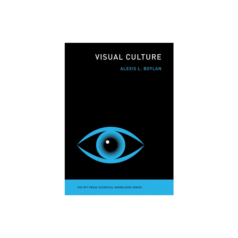 Mit press ltd Visual Culture (häftad, eng)