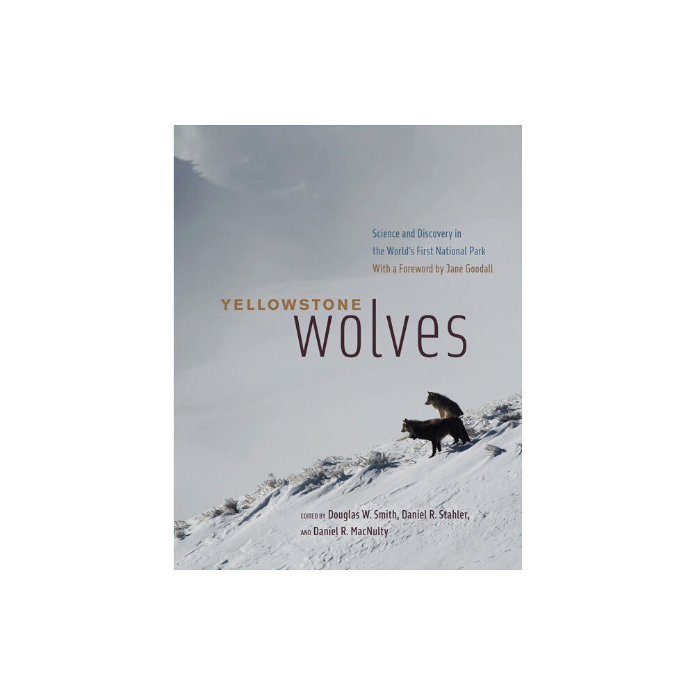 The university of chicago press Yellowstone Wolves (inbunden, eng)