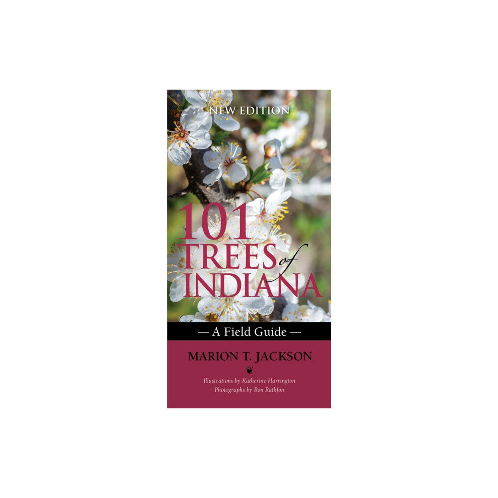 Indiana university press 101 Trees of Indiana (häftad, eng)