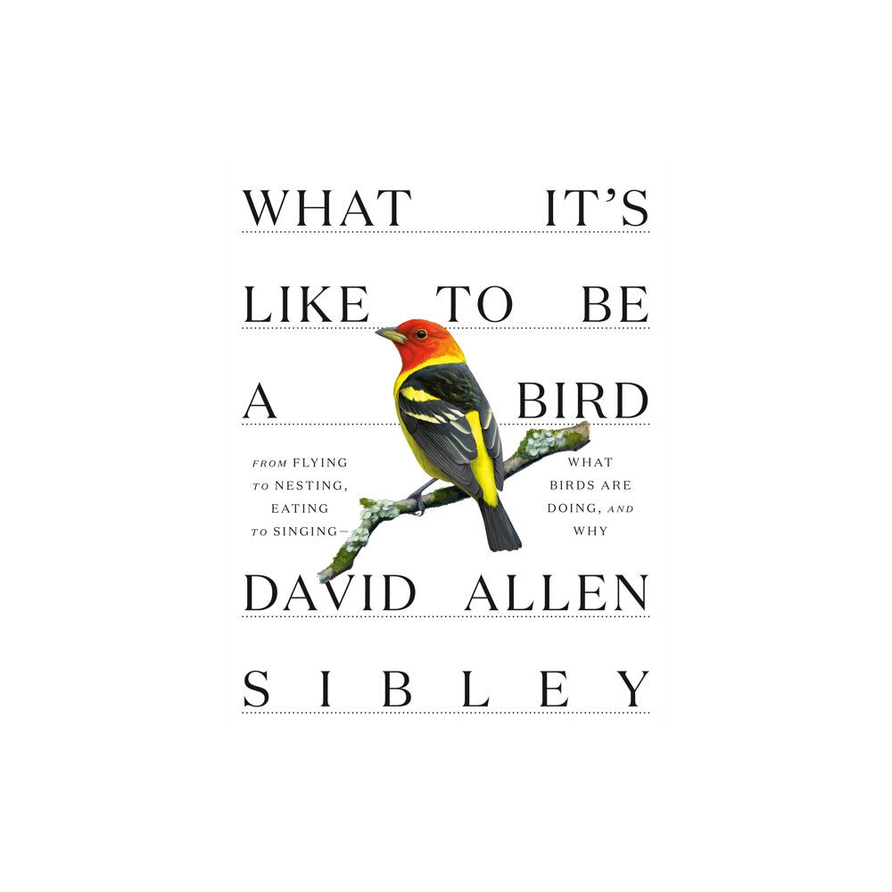 Alfred A. Knopf What It's Like to be a Bird (inbunden, eng)