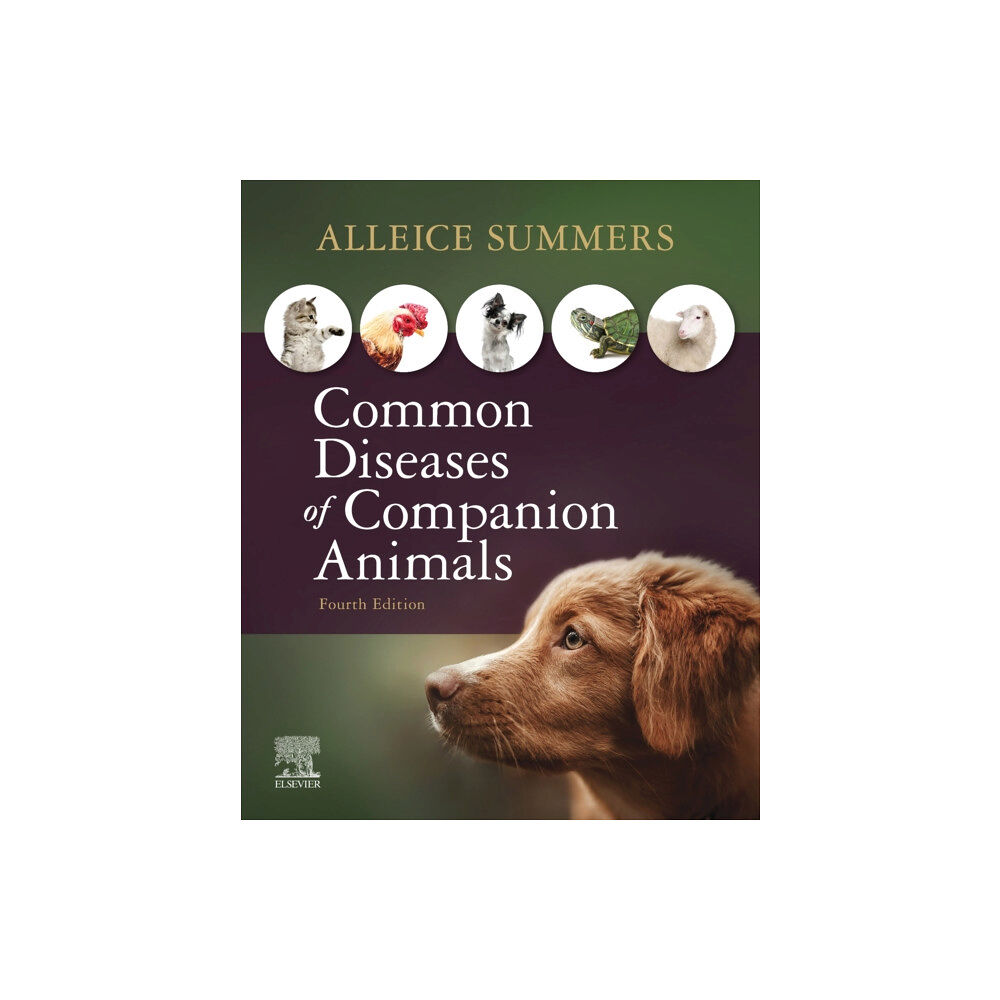 Elsevier - Health Sciences Division Common Diseases of Companion Animals (häftad, eng)