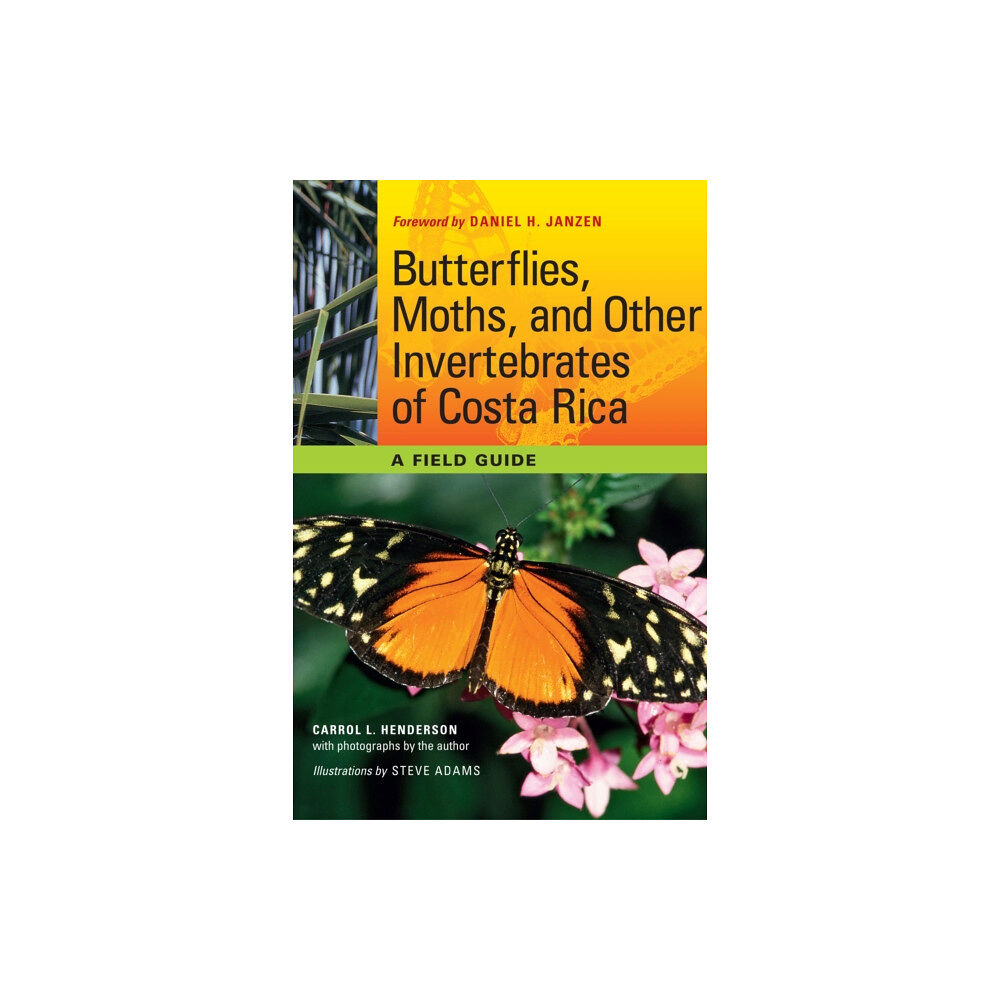 University of Texas Press Butterflies, Moths, and Other Invertebrates of Costa Rica (häftad, eng)