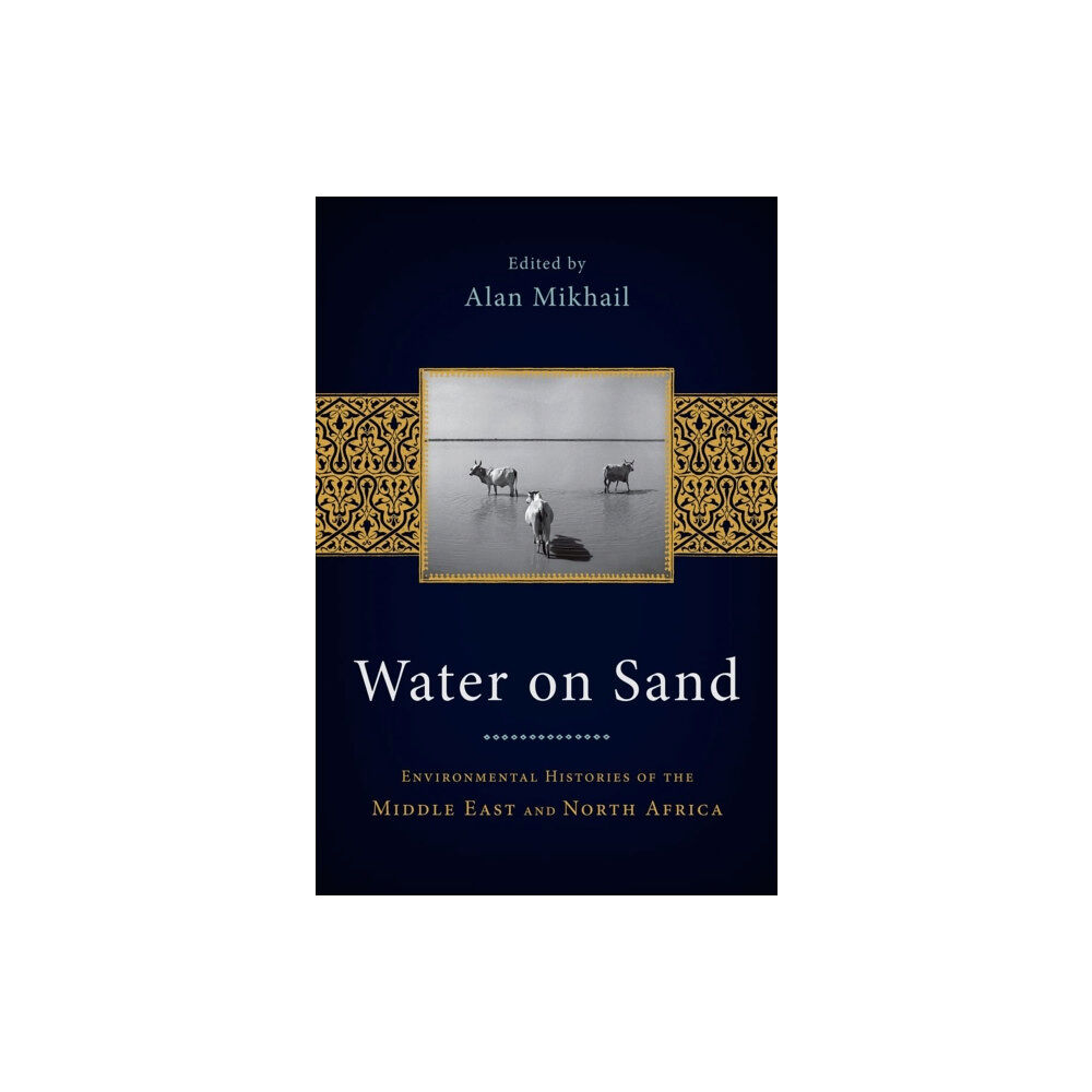 Oxford University Press Inc Water on Sand (häftad, eng)