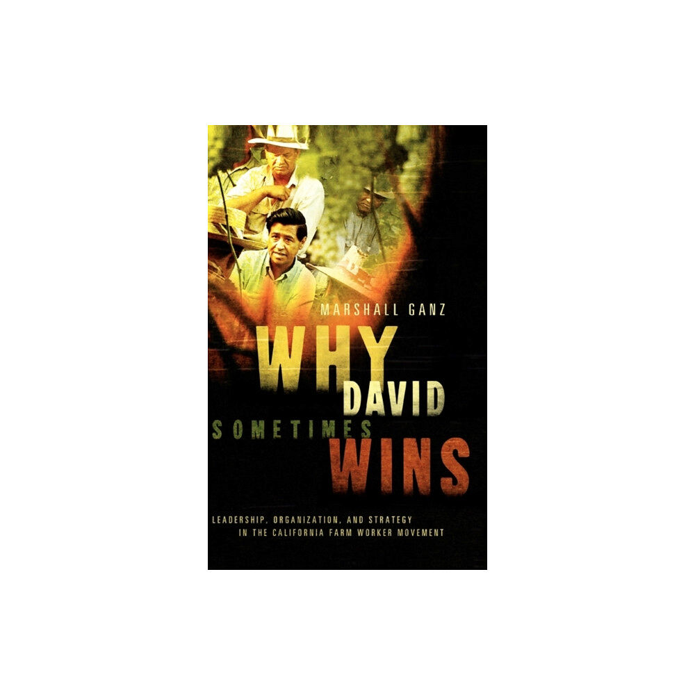 Oxford University Press Inc Why David Sometimes Wins (inbunden, eng)