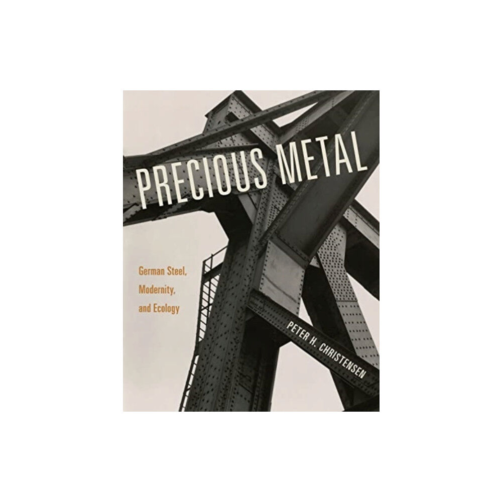 Pennsylvania State University Press Precious Metal (häftad, eng)