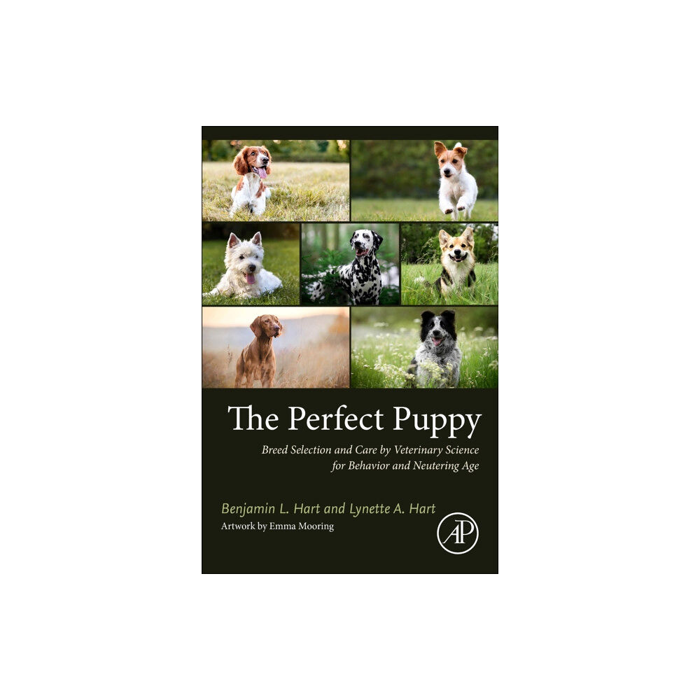 Elsevier Science & Technology The Perfect Puppy (häftad, eng)