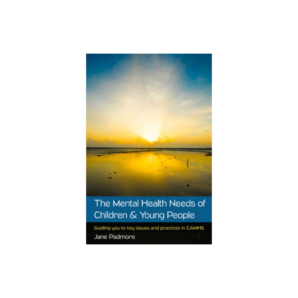 Open University Press The Mental Health Needs of Children & Young People: Guiding you to key issues and practices in CAMHS (häftad, eng)