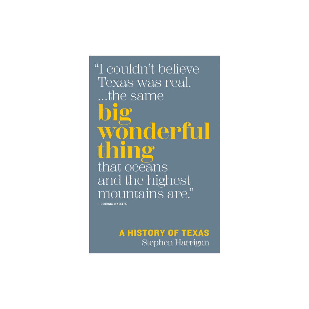 University of Texas Press Big Wonderful Thing (inbunden, eng)