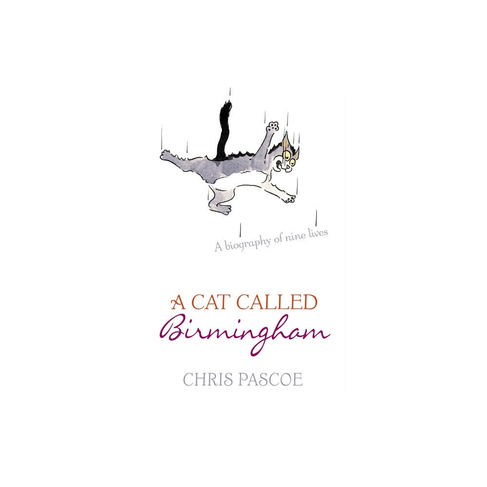 Hodder & Stoughton A Cat Called Birmingham (häftad, eng)