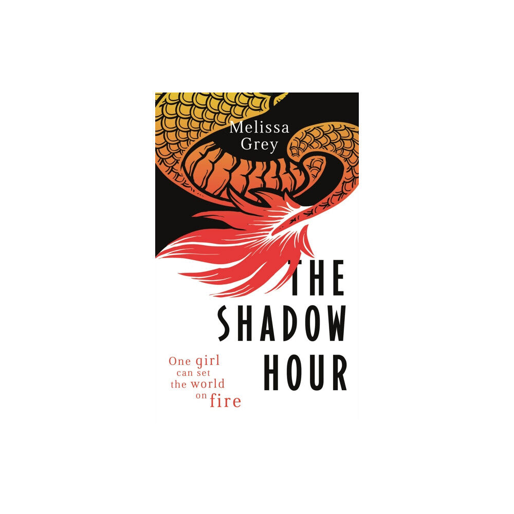 Little, Brown Book Group The Shadow Hour (häftad, eng)