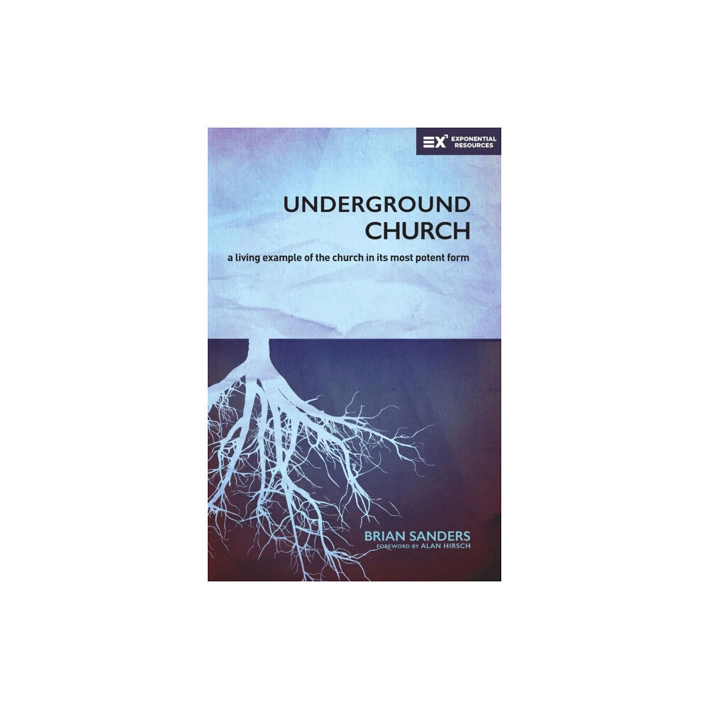 Zondervan Underground Church (häftad, eng)