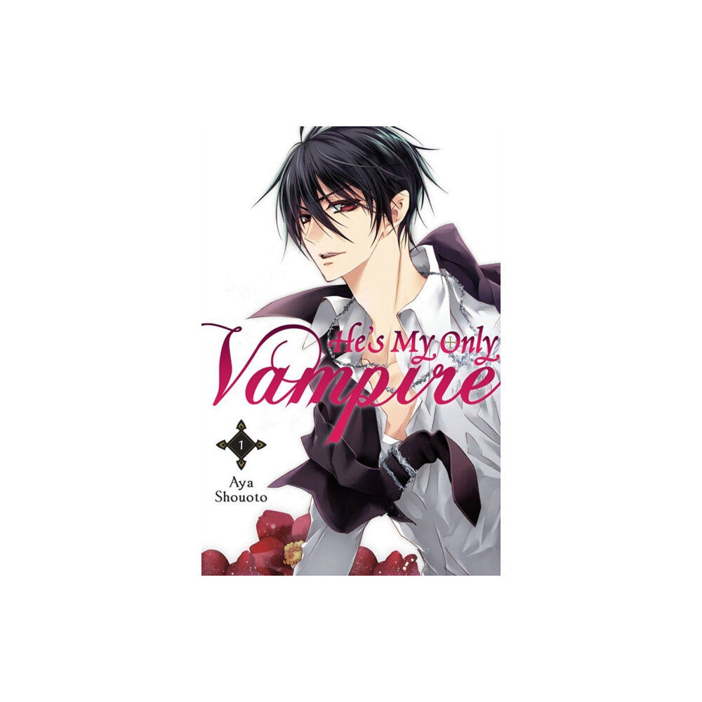 Little, Brown & Company He's My Only Vampire, Vol. 1 (häftad, eng)