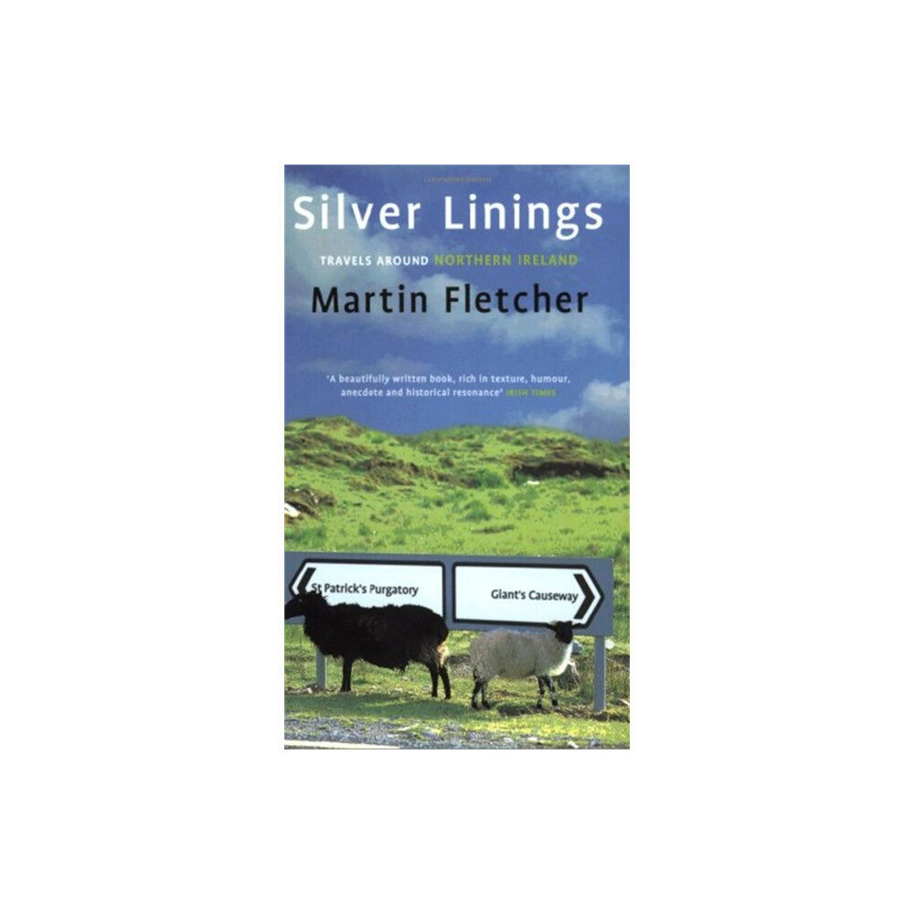 Little, Brown Book Group Silver Linings (häftad, eng)