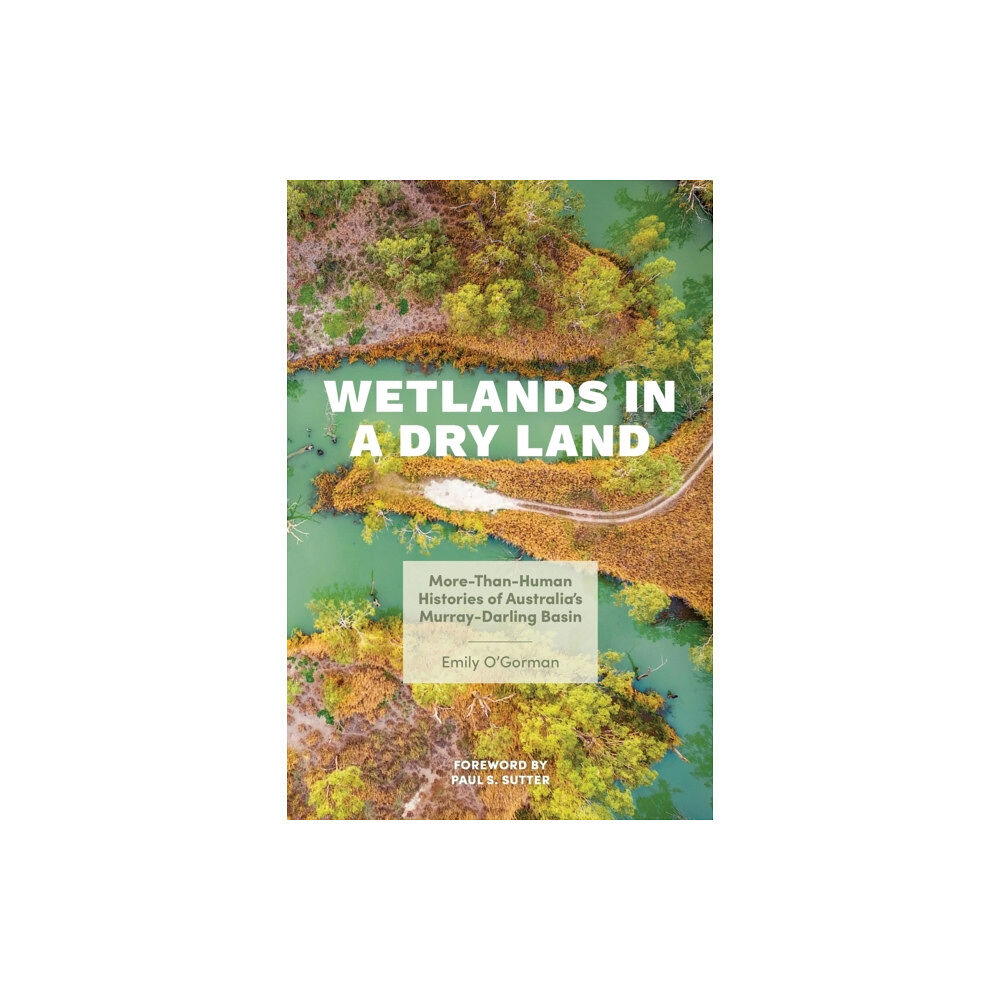 University of Washington Press Wetlands in a Dry Land (häftad, eng)