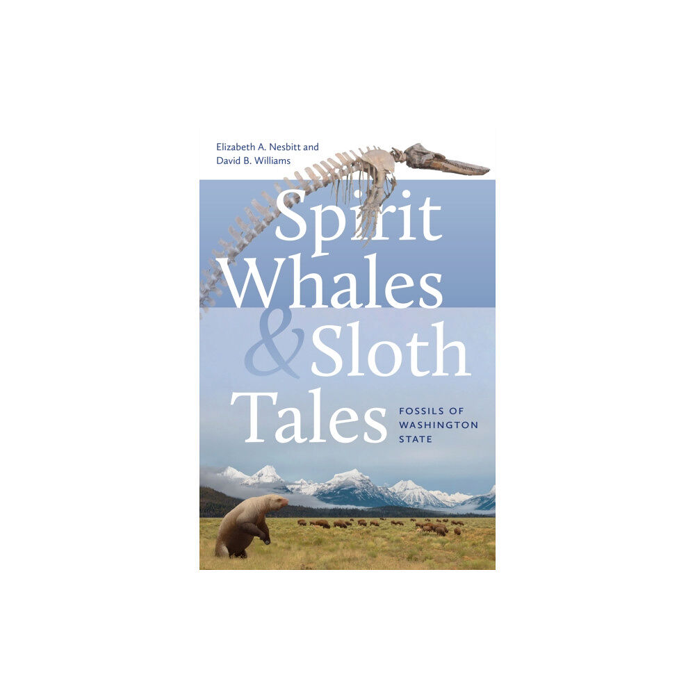 University of Washington Press Spirit Whales and Sloth Tales (häftad, eng)