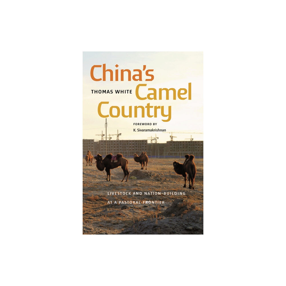 University of Washington Press China's Camel Country (häftad, eng)