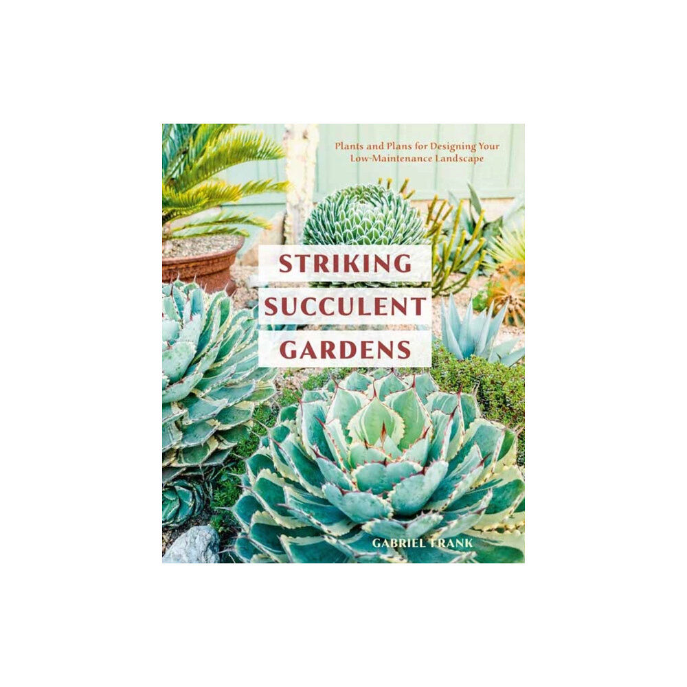 Random House USA Inc Striking Succulent Gardens (häftad, eng)