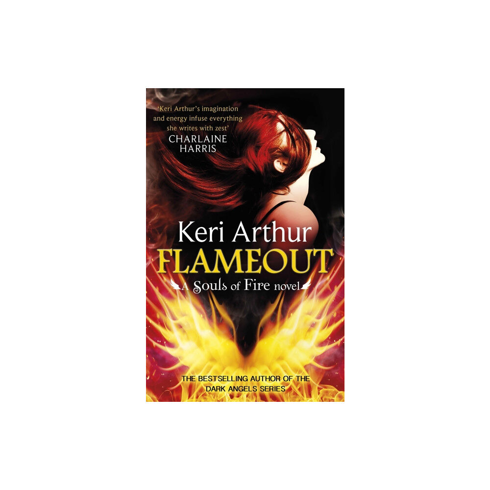 Little, Brown Book Group Flameout (häftad, eng)