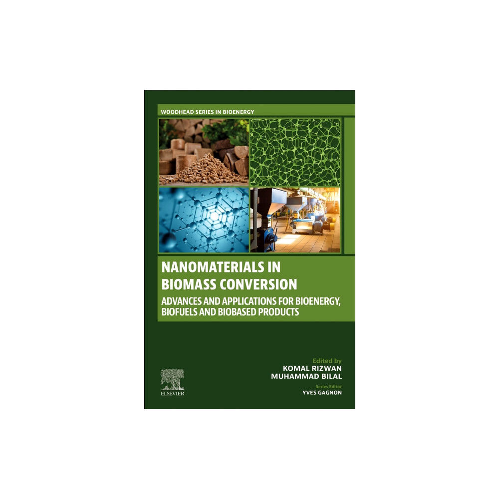 Elsevier - Health Sciences Division Nanomaterials in Biomass Conversion (häftad, eng)