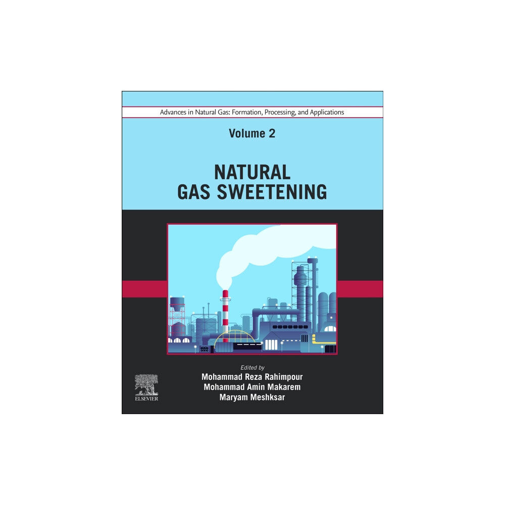 Elsevier - Health Sciences Division Advances in Natural Gas: Formation, Processing, and Applications. Volume 2: Natural Gas Sweetening (häftad, eng)