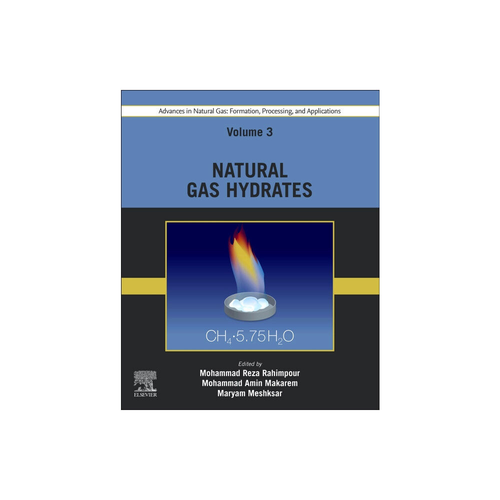 Elsevier - Health Sciences Division Advances in Natural Gas: Formation, Processing, and Applications. Volume 3: Natural Gas Hydrates (häftad, eng)