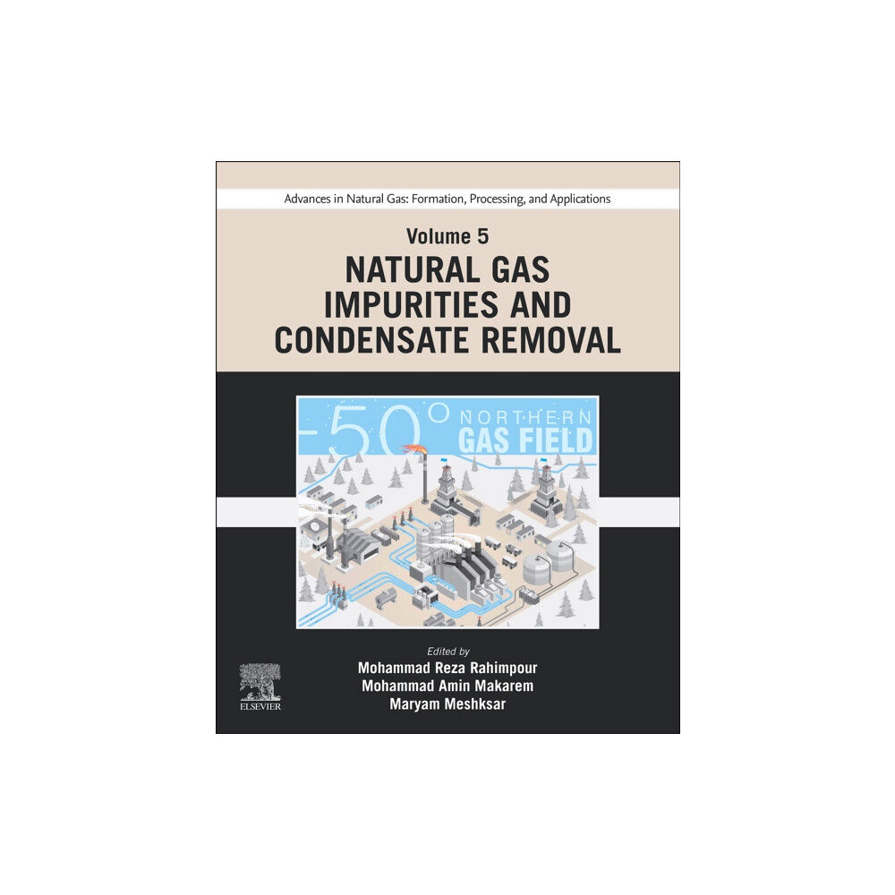 Elsevier - Health Sciences Division Advances in Natural Gas: Formation, Processing, and Applications. Volume 5: Natural Gas Impurities and Condensate Remova...