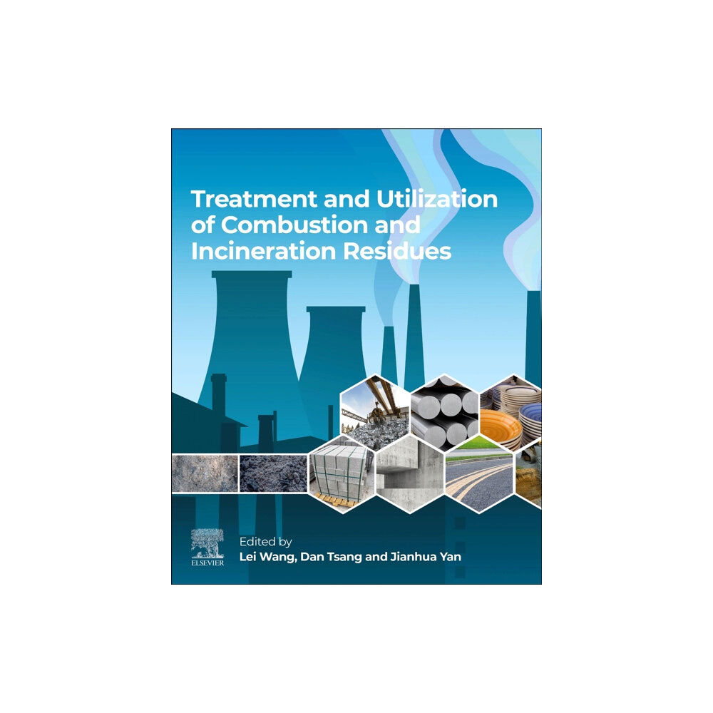 Elsevier - Health Sciences Division Treatment and Utilization of Combustion and Incineration Residues (häftad, eng)