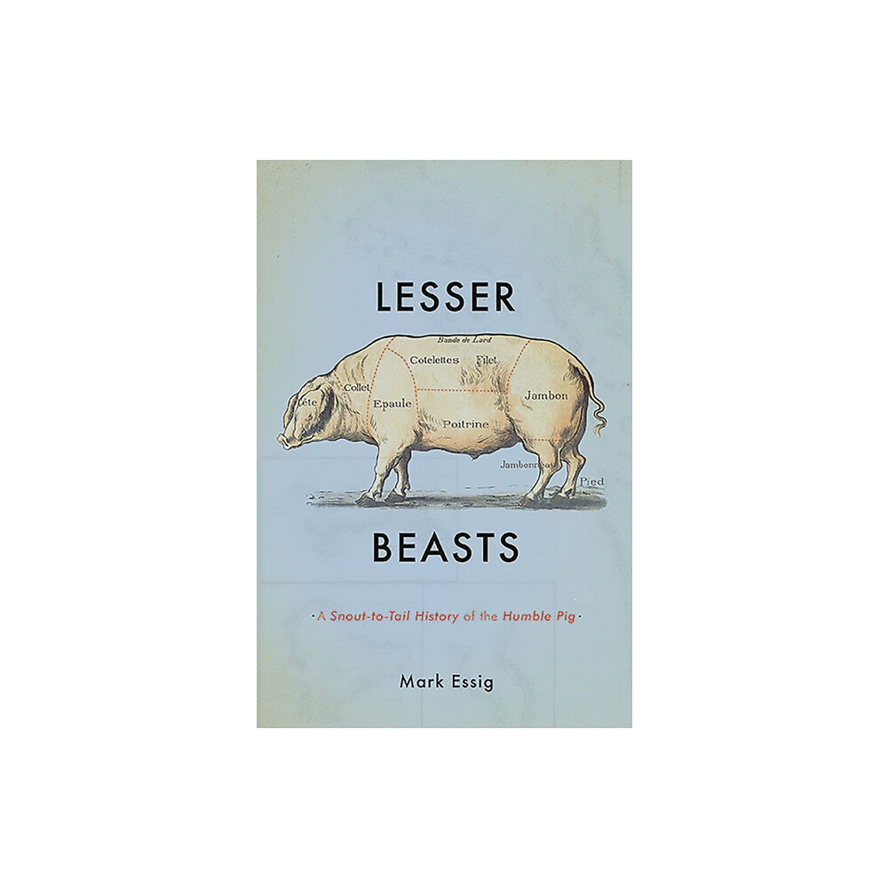 Basic Books Lesser Beasts (inbunden, eng)