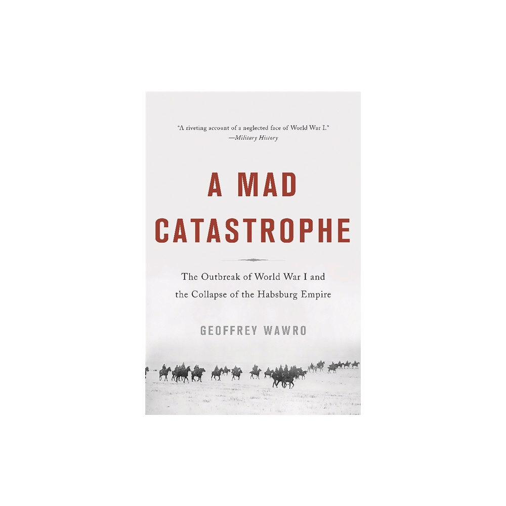 Basic Books A Mad Catastrophe (häftad, eng)