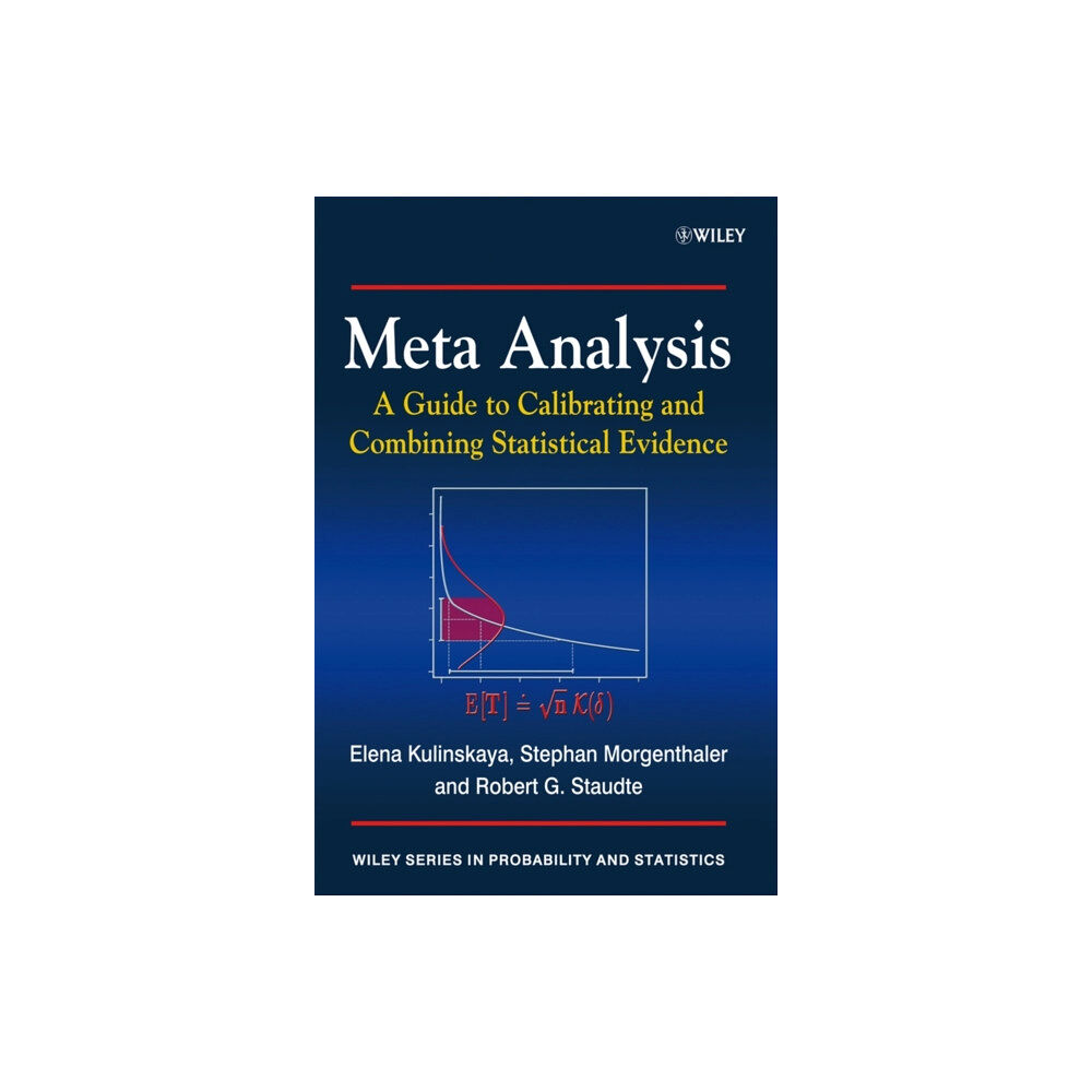 John Wiley & Sons Inc Meta Analysis (häftad, eng)