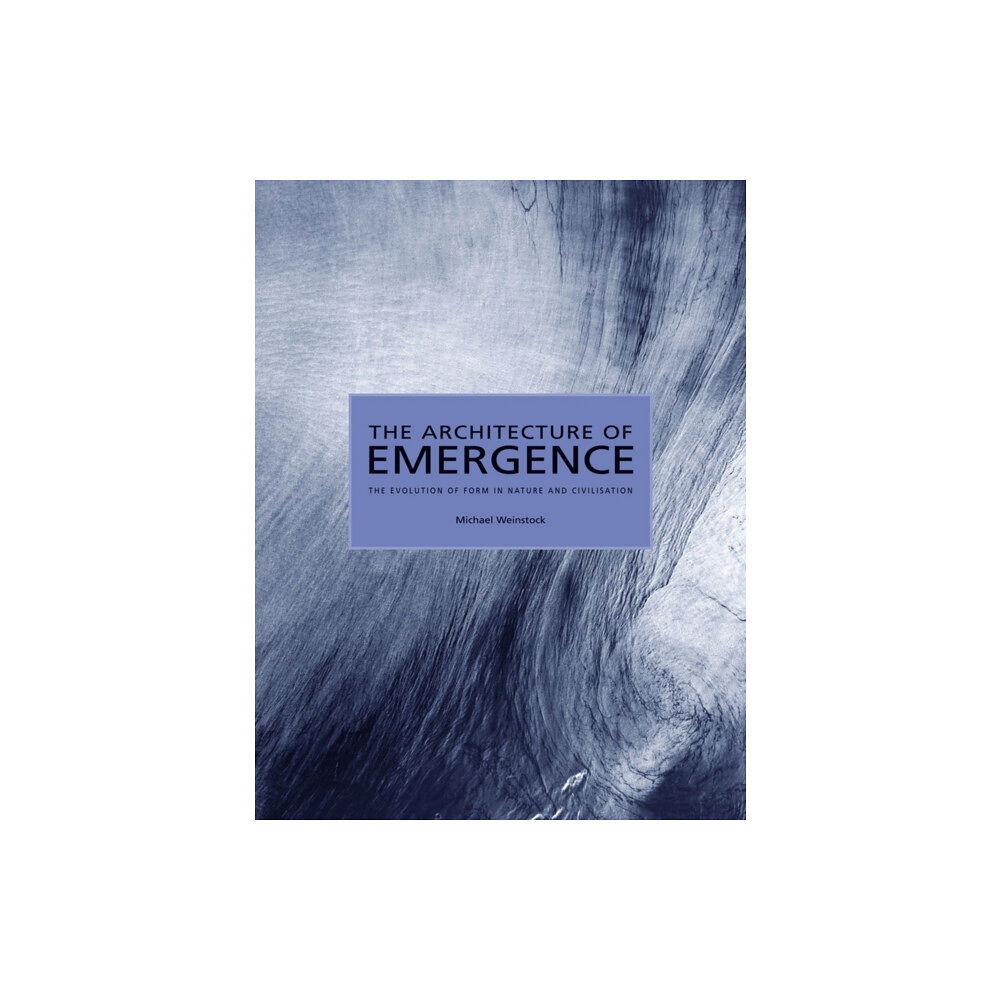 John Wiley & Sons Inc The Architecture of Emergence (häftad, eng)