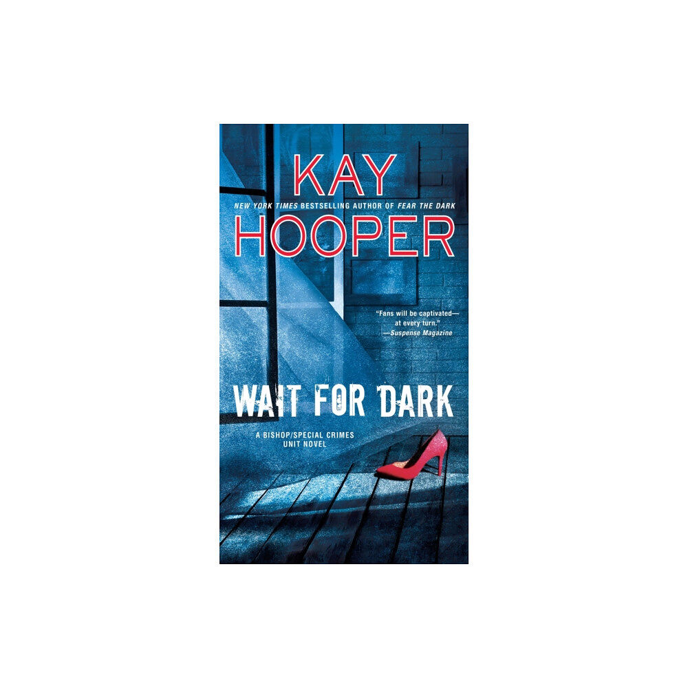 Penguin Putnam Inc Wait For Dark (häftad, eng)