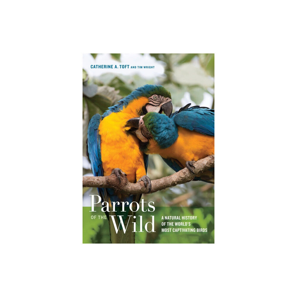 University of california press Parrots of the Wild (inbunden, eng)