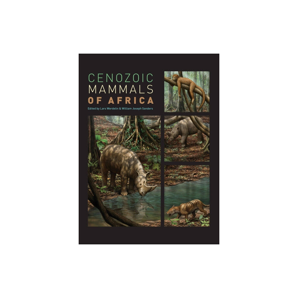 University of california press Cenozoic Mammals of Africa (inbunden, eng)