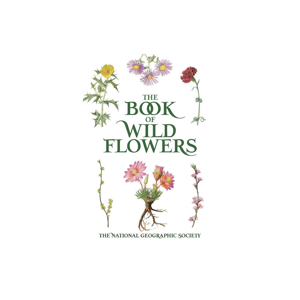 Dover publications inc. Book of Wild Flowers (häftad, eng)