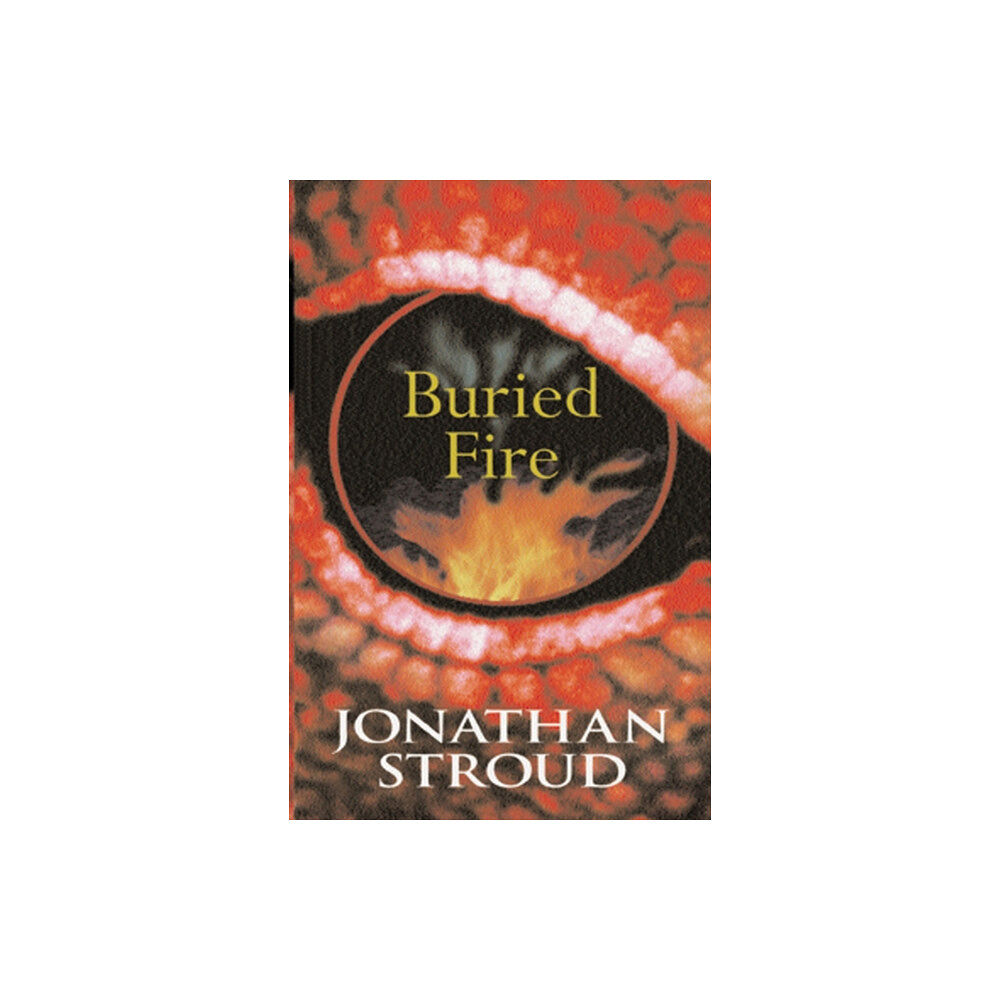Penguin Random House Children's UK Buried Fire (häftad, eng)