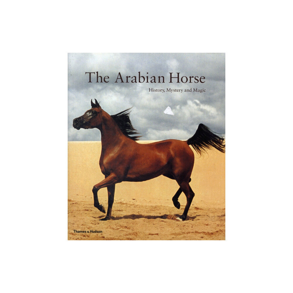 Thames & Hudson Ltd The Arabian Horse (häftad, eng)